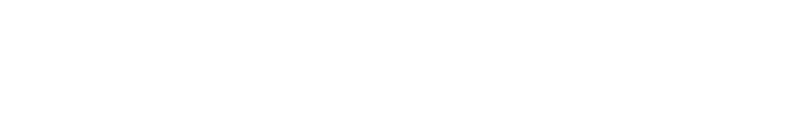Shoe Station Group, Inc. Logo